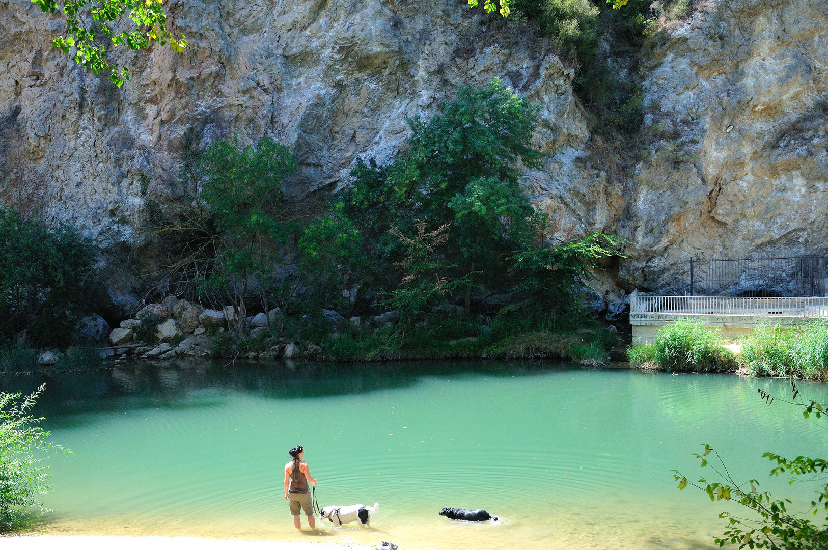 Laguna Verde