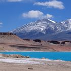 Laguna Verde auf 4400m Atacama Hochland Chile