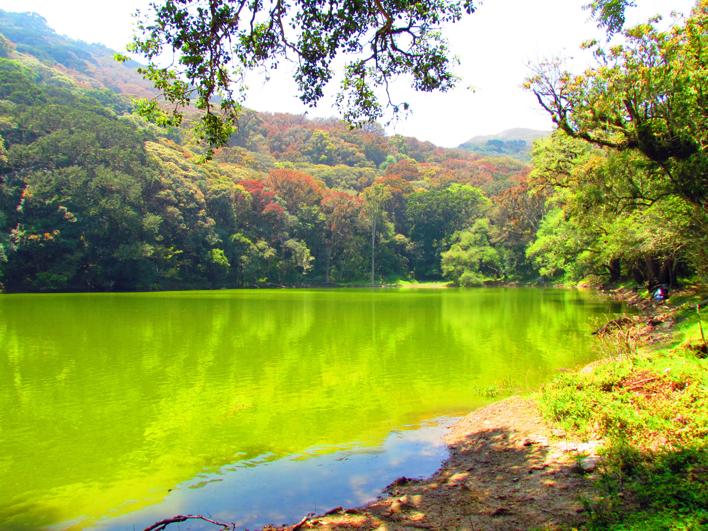 Laguna Verde en Comarapa, Santa Cruz de la Sierra-Bolivia