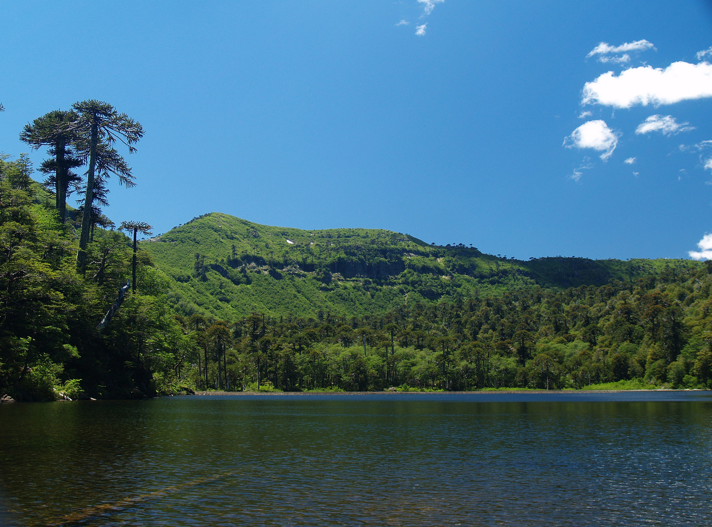 Laguna Verde im Parque National Tolhuaca