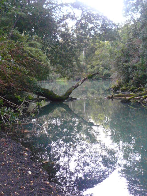 Laguna verde. Osorno