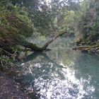 Laguna verde. Osorno