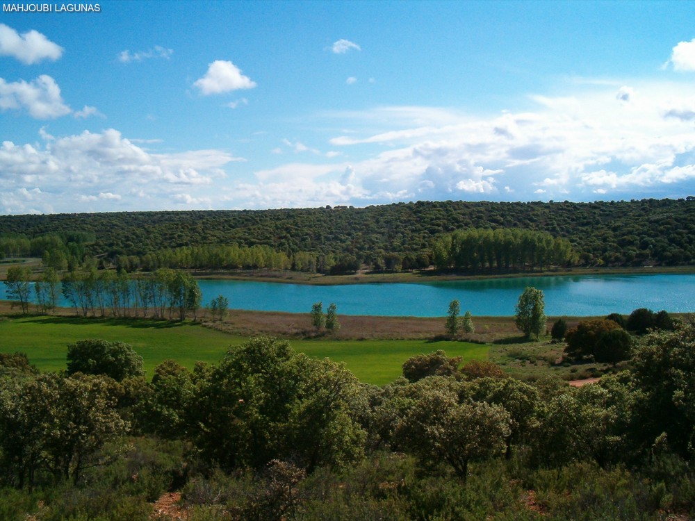 Lagunas