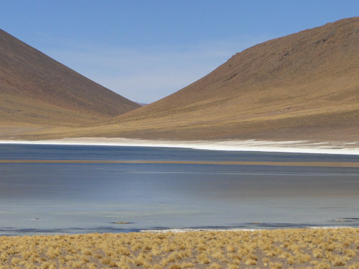 Lagunas Altiplanicas