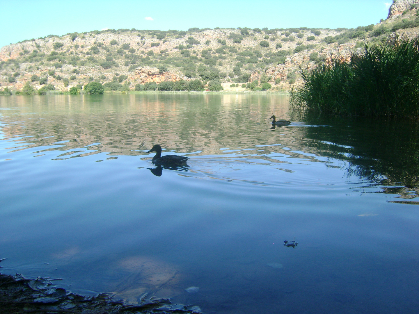 Lagunas de Ruidera