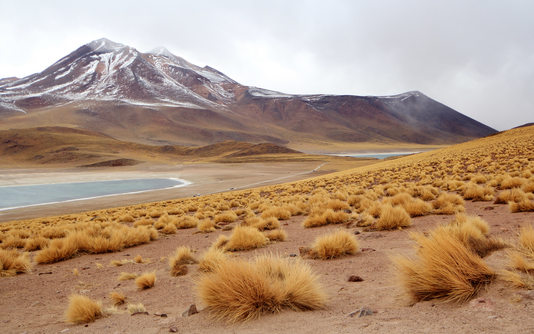 Lagunas Miñiques y Miscanti