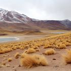 Lagunas Miñiques y Miscanti