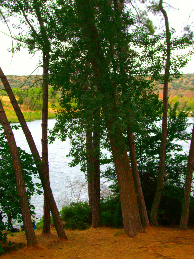 lagunas ruidera