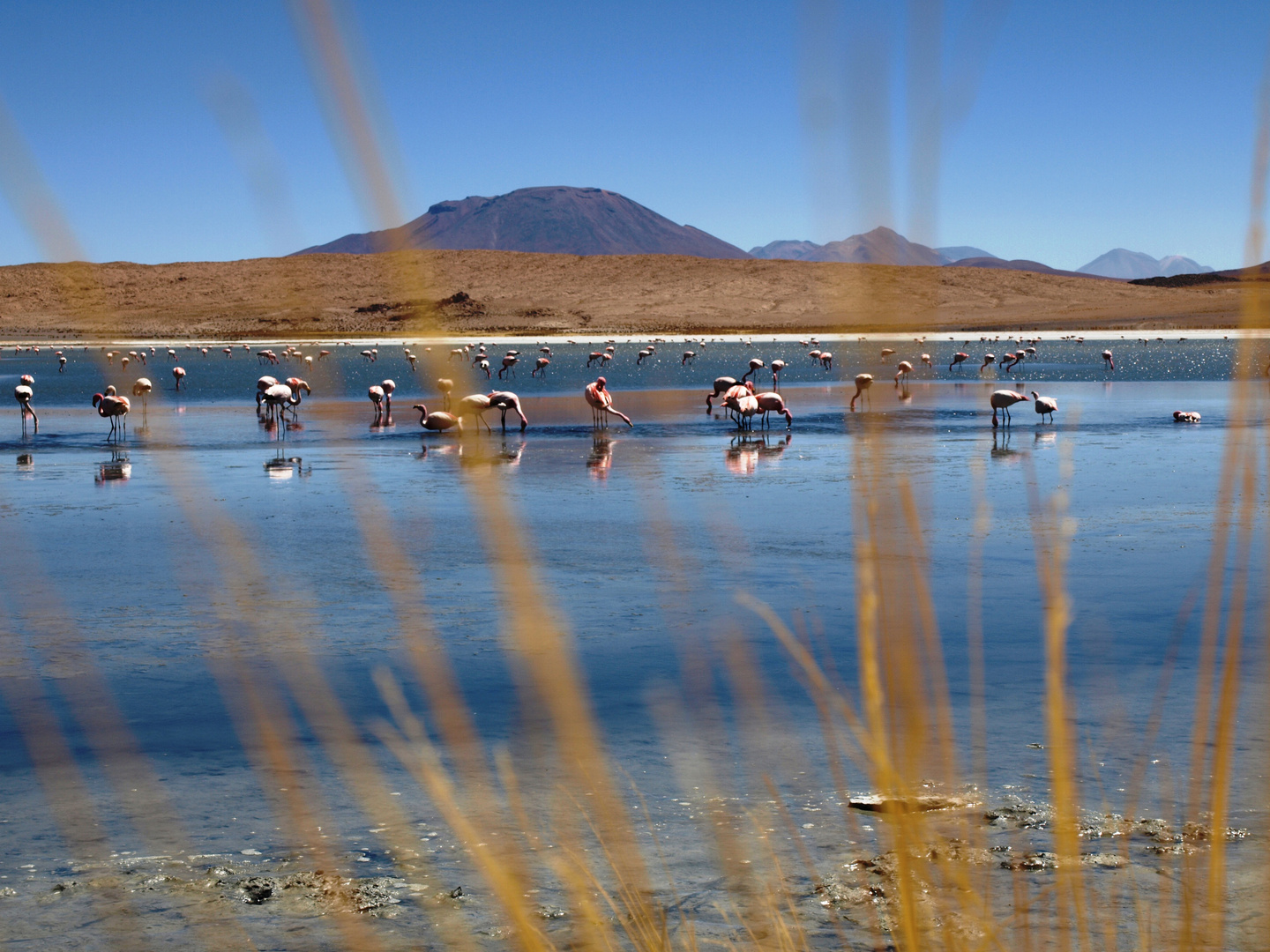 Lagune Altiplano