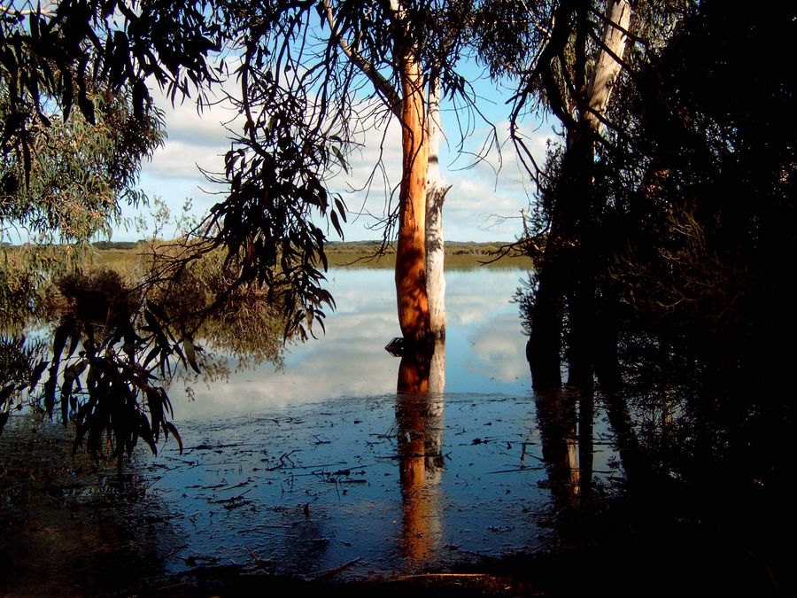 Lagune auf Kangaroo Island