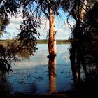 Lagune auf Kangaroo Island