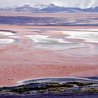 Lagune colorée (laguna colorada)