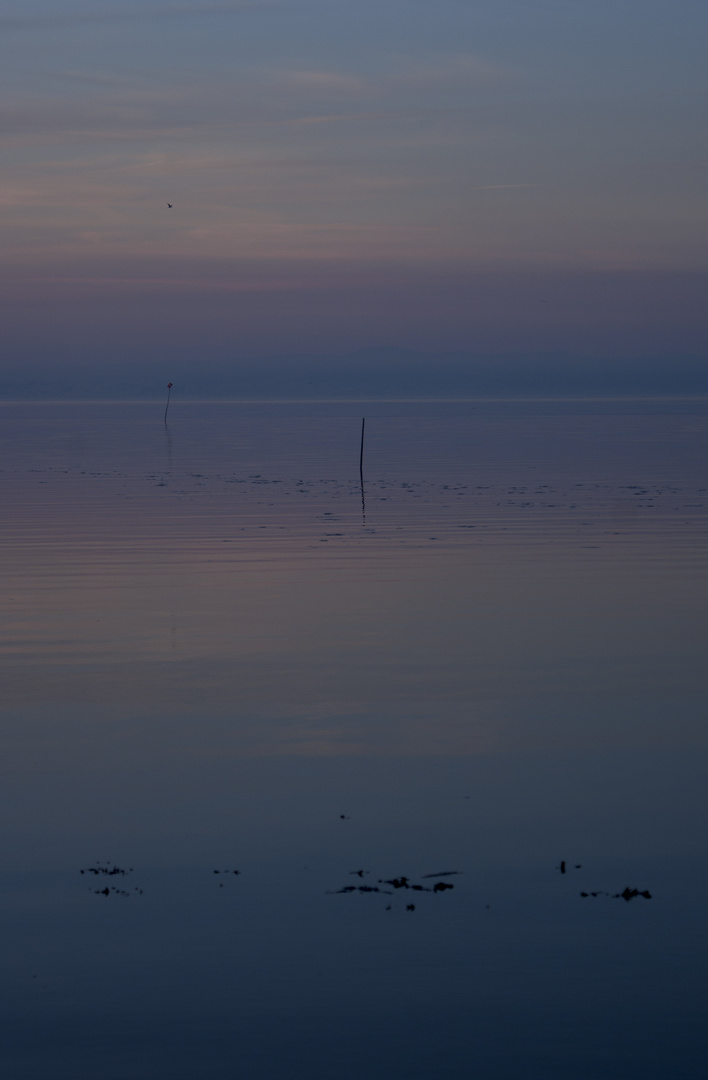 Lagune de Lisbonne