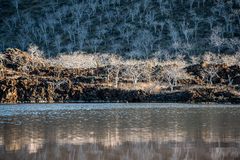 Lagune                               DSC_8933
