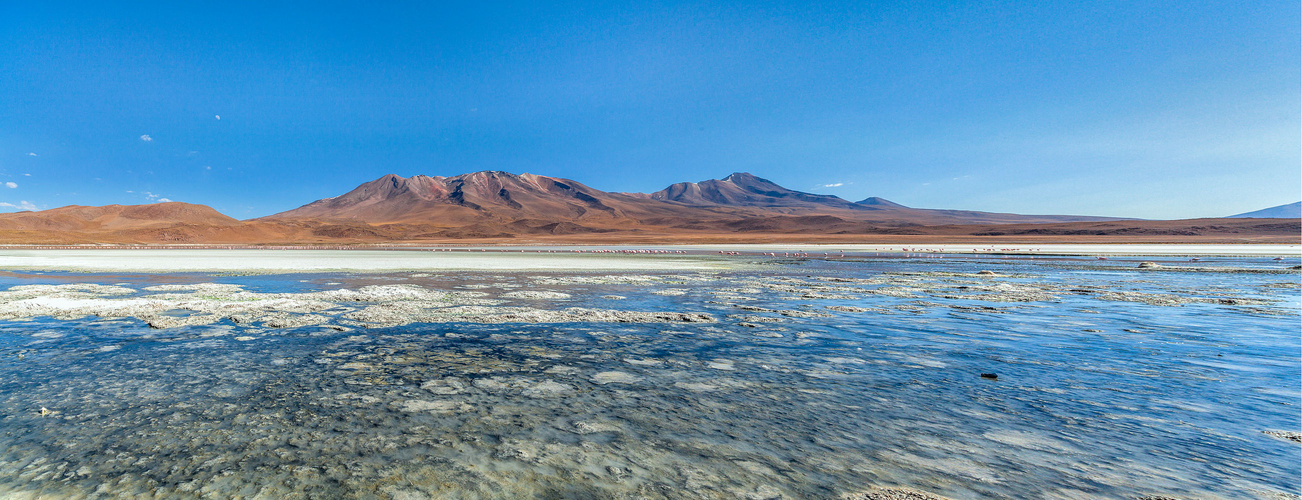 Lagune im Altiplano am frühen Morgen, Bolivien 2016