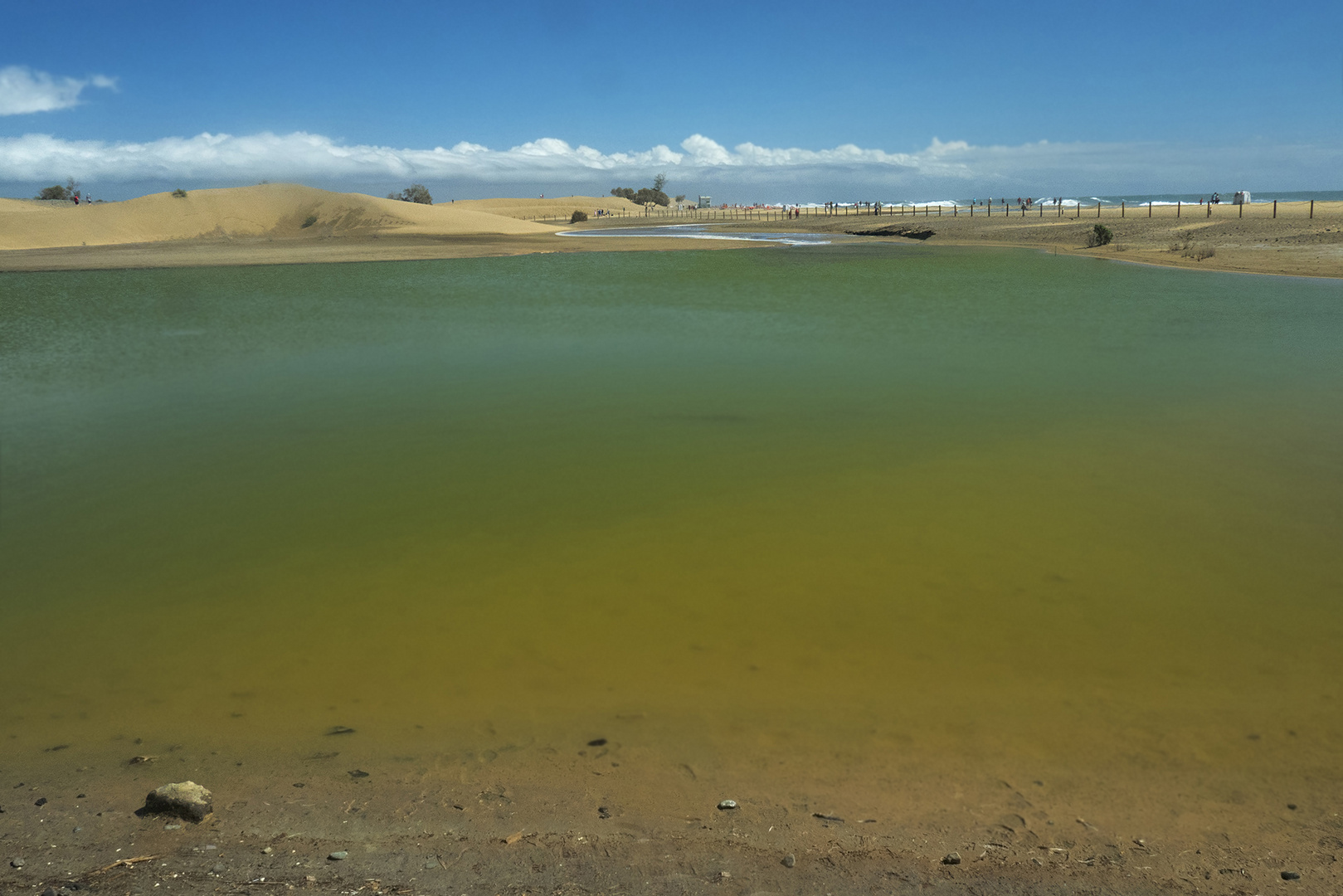 Lagune in Maspalomas