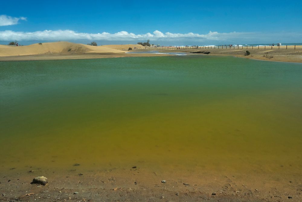 Lagune in Maspalomas