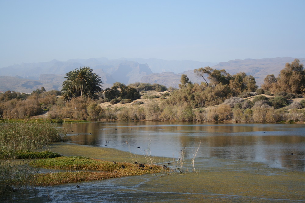 Lagune Las Palomas