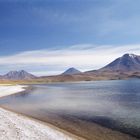 Lagune Miscanti nahe Socaire (100 km von San Pedro de Atacama