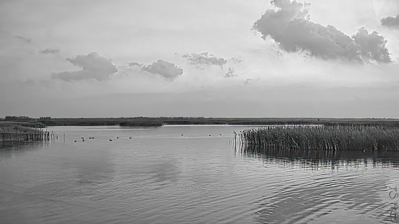 Lagunen der Ostsee