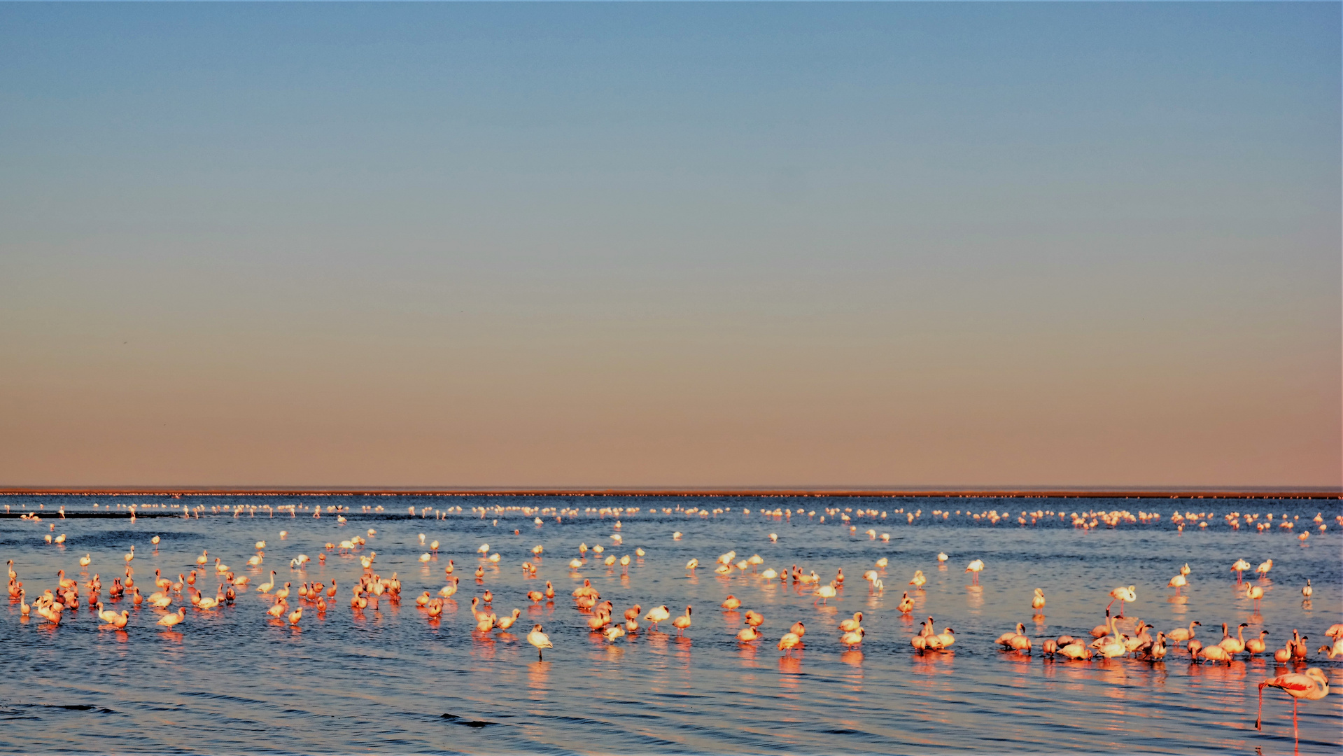 Lagunenbalau