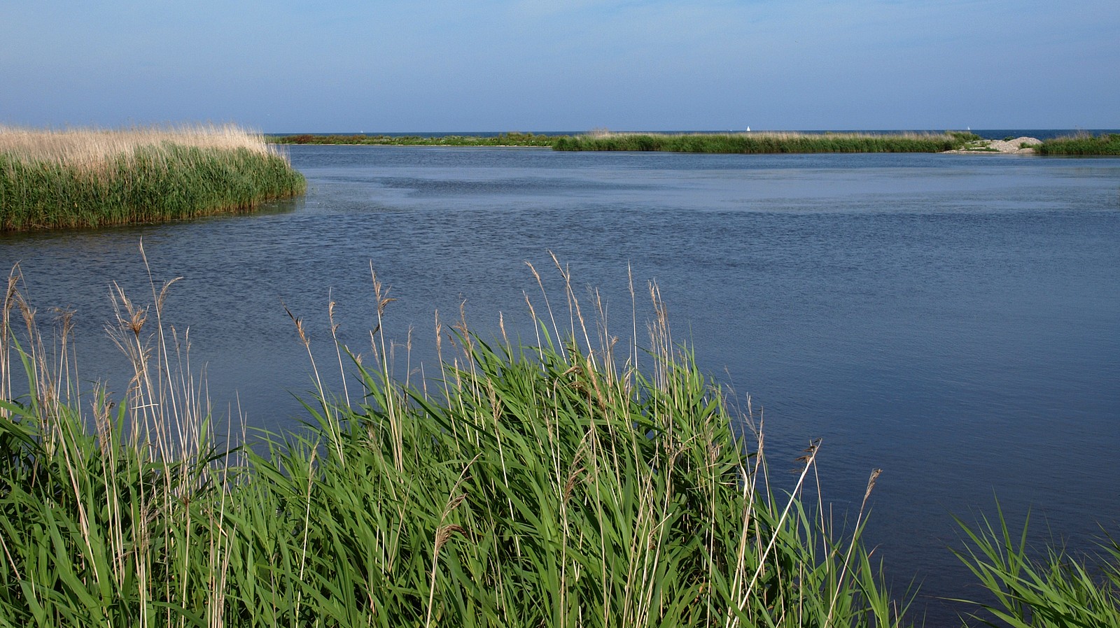 Lagunenlandschaft