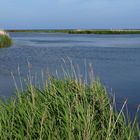 Lagunenlandschaft