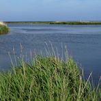 Lagunenlandschaft