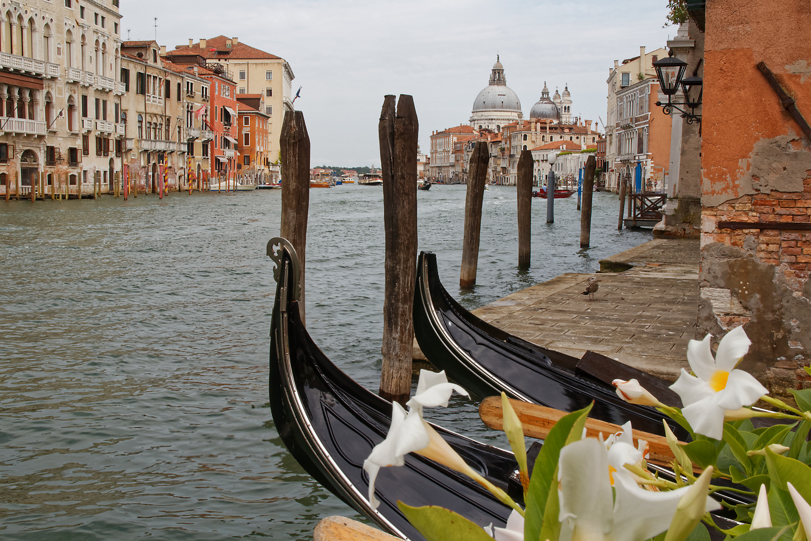 Lagunenstadt Venedig - Canal Grande