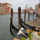 Lagunenstadt Venedig - Canal Grande