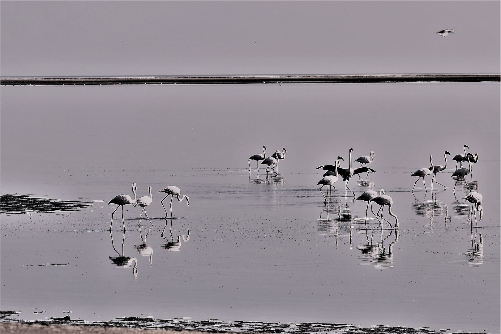 Lagunenzauber