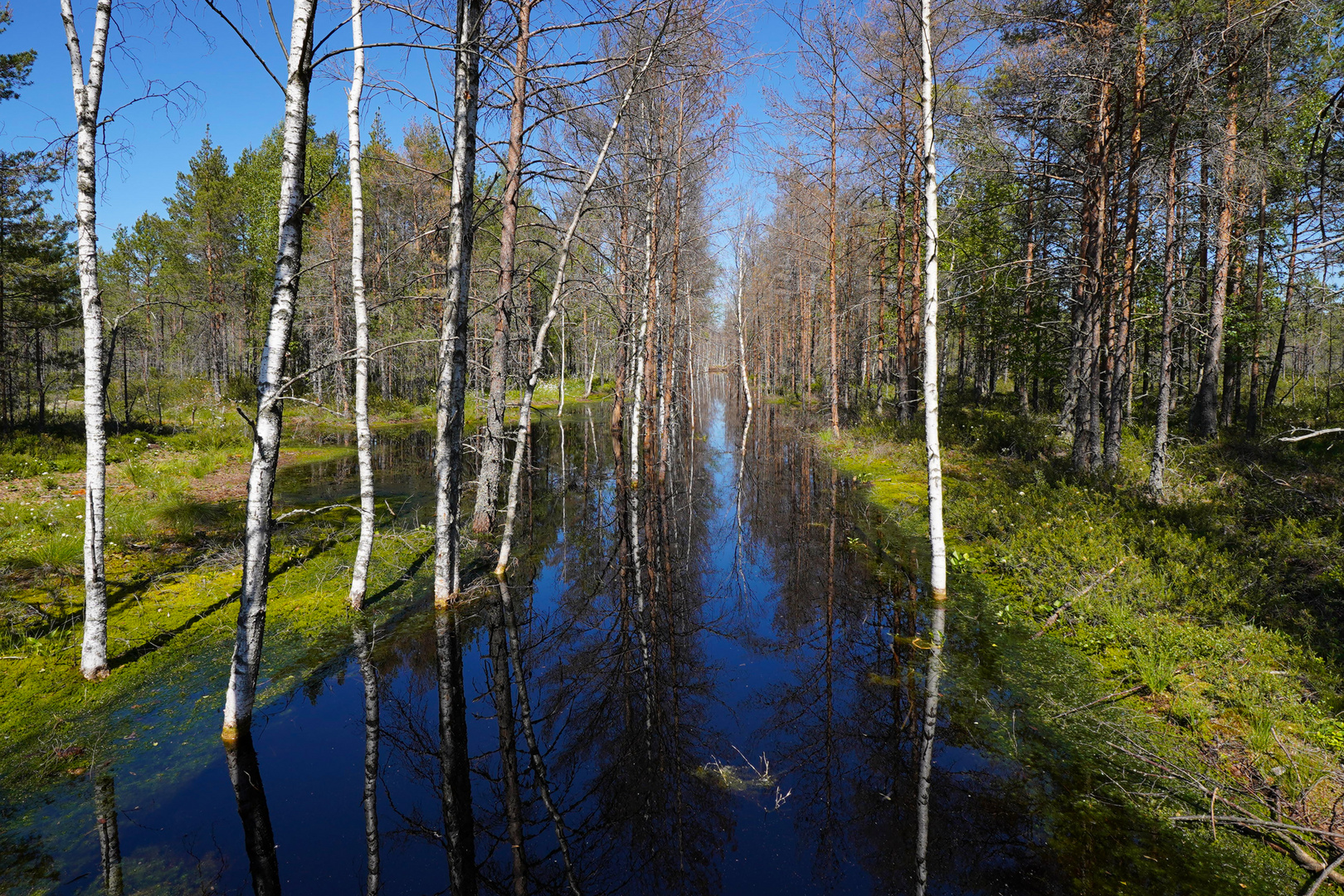 Lahemaa-Nationalpark, Estland