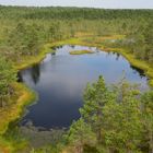 Lahemaa-Nationalpark - Hochmoor Viru (Juli 2013)