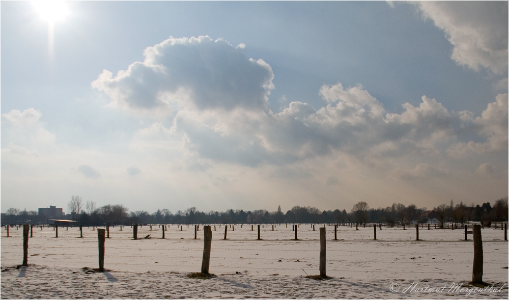 Laher Wiesen im Winter