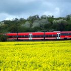 Lahn-Eifel-Bahn