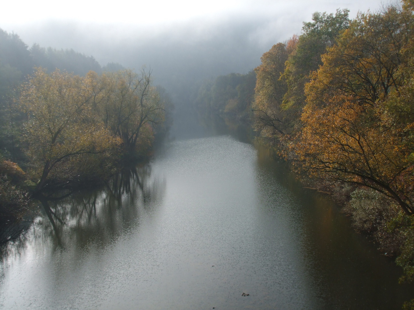 Lahnstein Friedrichssegen - Die Lahn im Oktober 2011