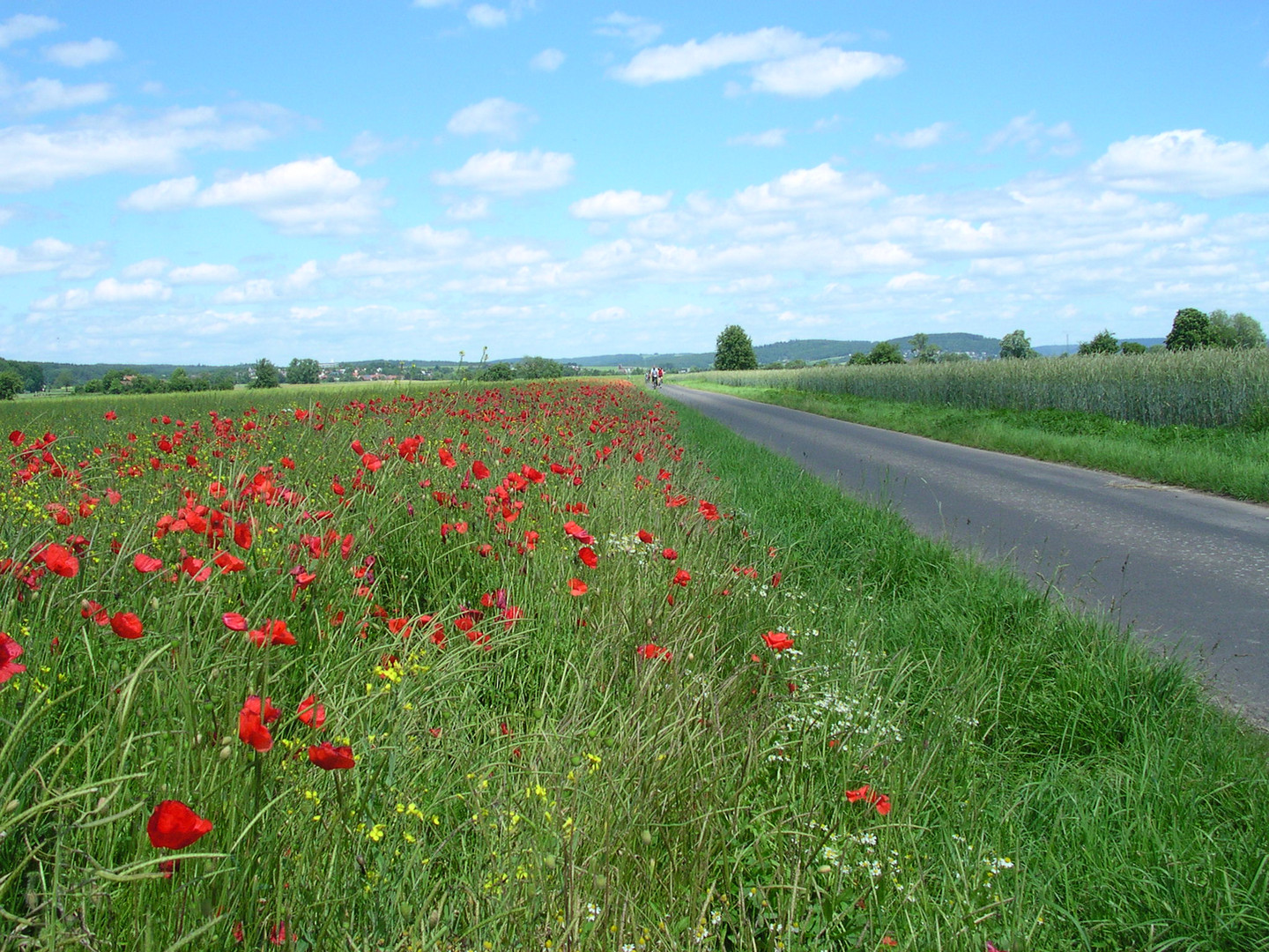 Lahntour 2012 VI.