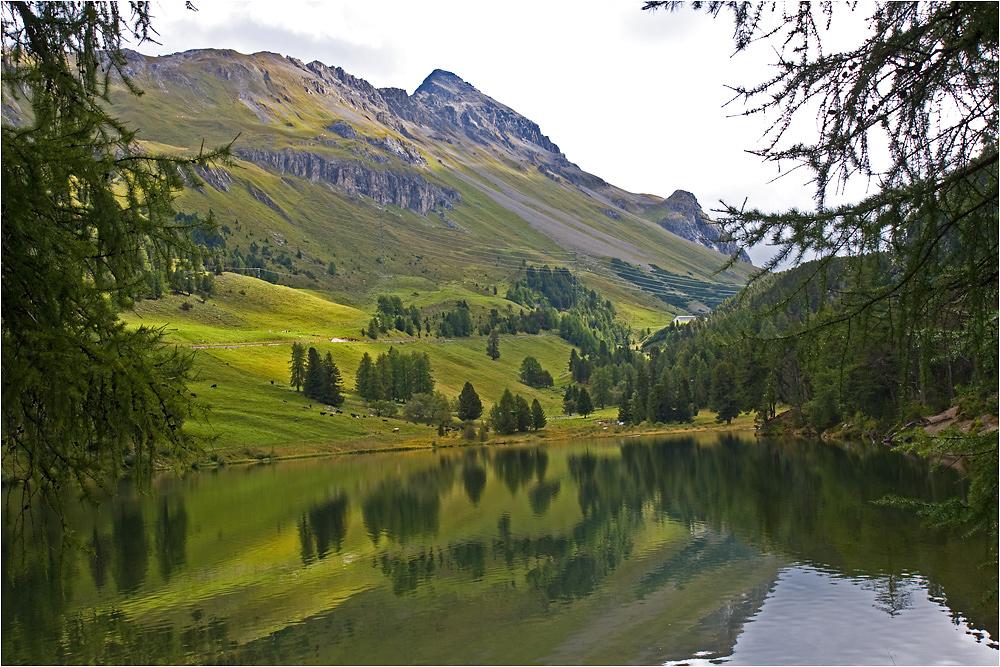 Lai da Palpuogna, Bergün