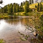 Lai de Palpuogna - Albula-Pass, Schweiz