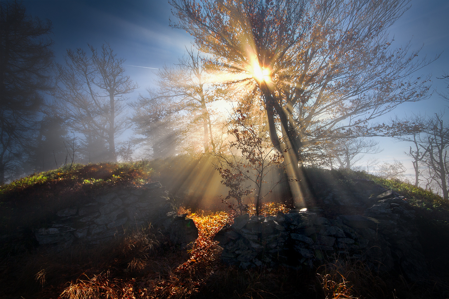 "laidstrahlen" | "ray of lights"