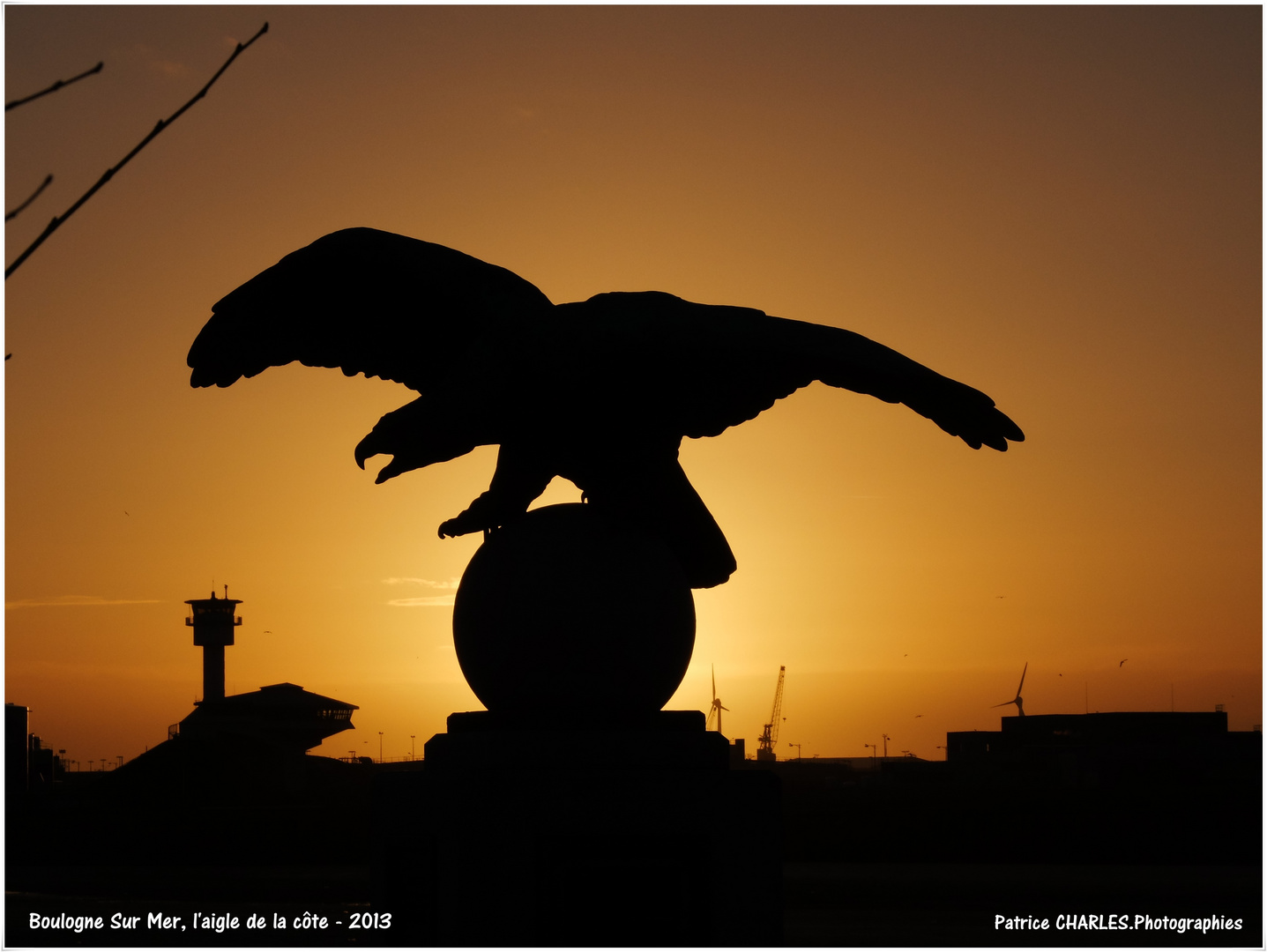 L'aigle de la côte Boulogne Sur Mer