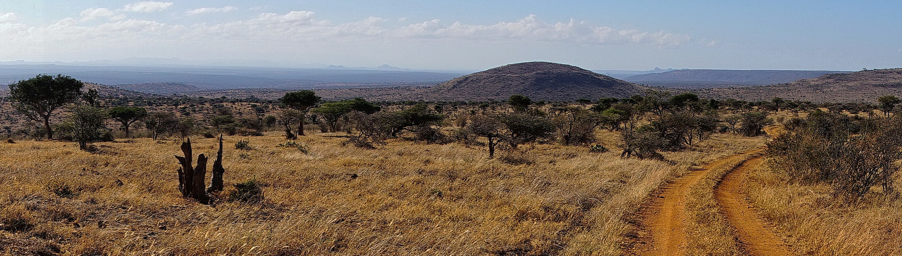 Laikipia-Hochebene