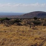 Laikipia-Hochebene