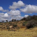 Laikipia Plateau