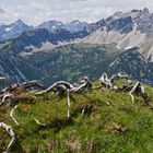 Lailachspitze 2274 m