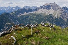 Lailachspitze 2274 m