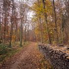 Lainzer Tiergarten