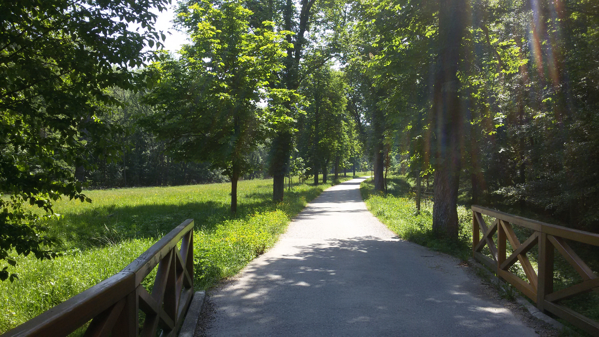 Lainzer Tiergarten