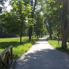 Lainzer Tiergarten