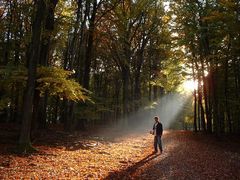 Lainzer-Tiergarten